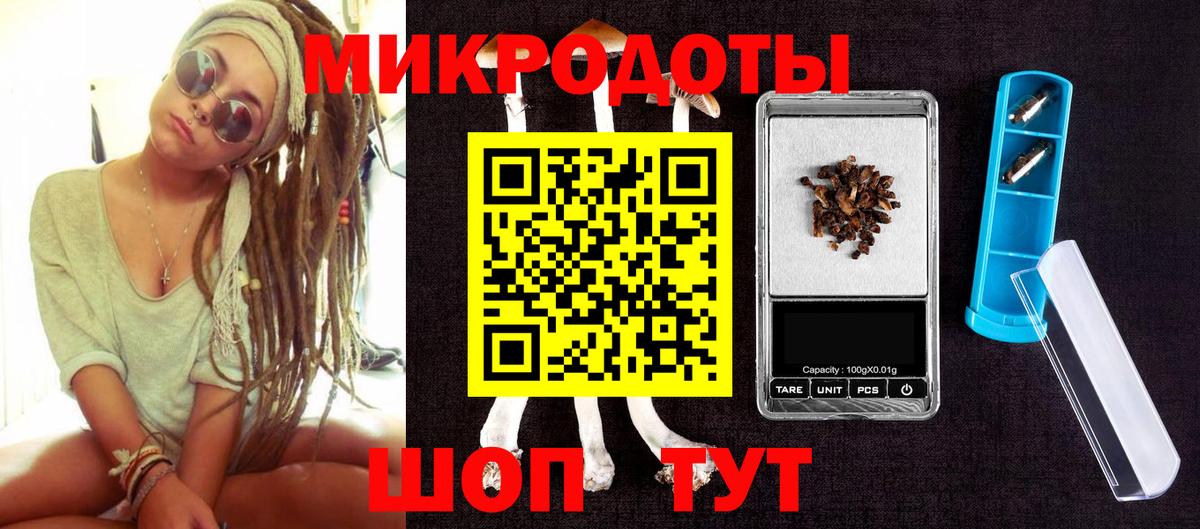 Галлюциногенные грибы Psilocybe  Вход с VPN  Каменка 